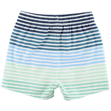 Coastal Stripes Swim Trunks