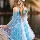 The Snowflake Queen Costume Dress