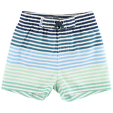 Coastal Stripes Swim Trunks