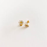 Daisy