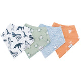 bib set cove