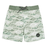 feather fish swim